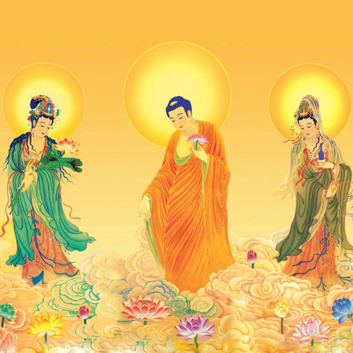 《无量寿经》讲解（会集本）